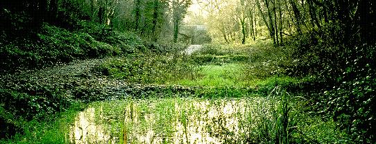 Wildlife Conservation Area